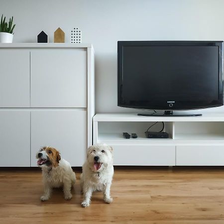 Uroczy Apartament Pod Skarpa 瓦多维采 外观 照片