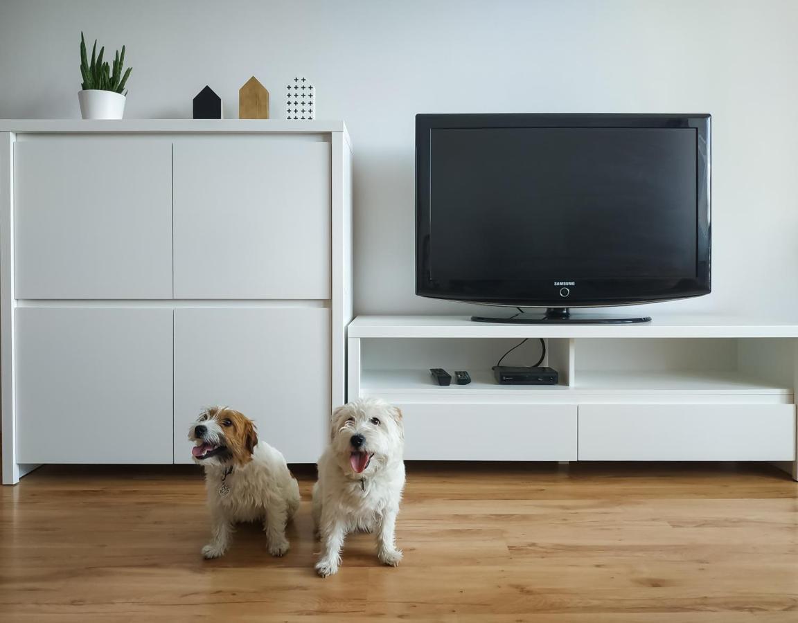 Uroczy Apartament Pod Skarpa 瓦多维采 外观 照片